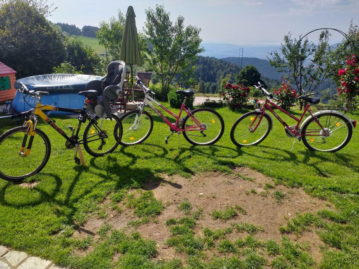 Apartment Panorama Zreče Екстериор снимка